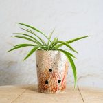 Cvetlični lonec Terra Viva - slika 2