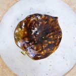 Cvetlični lonec s podstavkom v obliki lista. Narejen s tehniko kačic, glaziran z belo craque in zeleno efekt glazuro. Z luknjicami za odtekanje vode – popoln za sukulente, zelišča ali rastline z dušo.